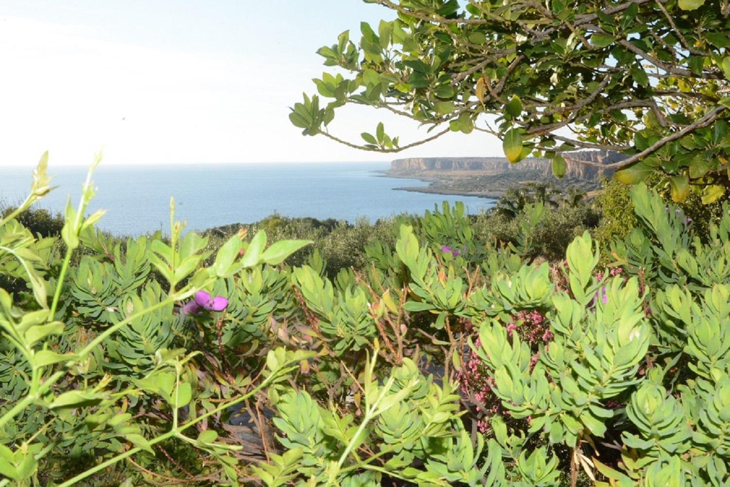 Appartamento Casa Magnolia San Vito Lo Capo Exteriör bild